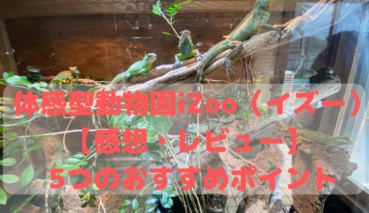 体感型動物園iZoo（イズー）【感想・レビュー】 5つのおすすめポイント